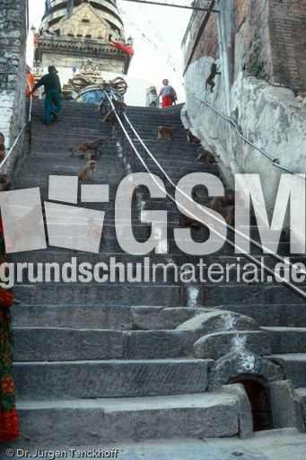 Nepal (36 von 124).jpg